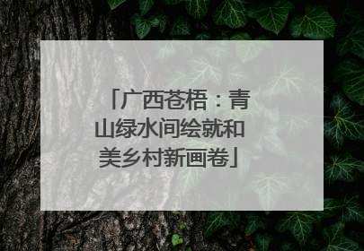广西苍梧：青山绿水间绘就和美乡村新画卷
