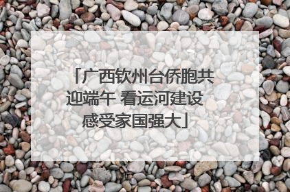 广西钦州台侨胞共迎端午 看运河建设感受家国强大