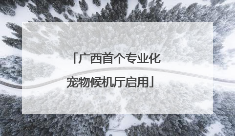 广西首个专业化宠物候机厅启用