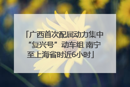 广西首次配属动力集中“复兴号”动车组 南宁至上海省时近6小时