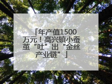 年产值1500万元！高兴镇小蚕茧“吐”出“金丝产业链”