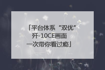 平台体系“双优” 歼-10CE画面一次带你看过瘾