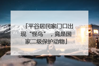 平谷居民家门口出现“怪鸟”，竟是国家二级保护动物