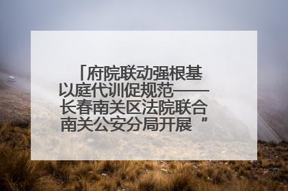 府院联动强根基 以庭代训促规范——长春南关区法院联合南关公安分局开展“以庭代训”