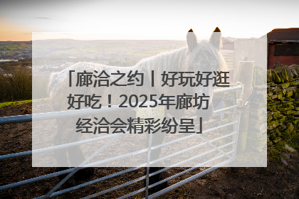 廊洽之约丨好玩好逛好吃！2025年廊坊经洽会精彩纷呈