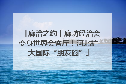 廊洽之约丨廊坊经洽会变身世界会客厅！河北扩大国际“朋友圈”