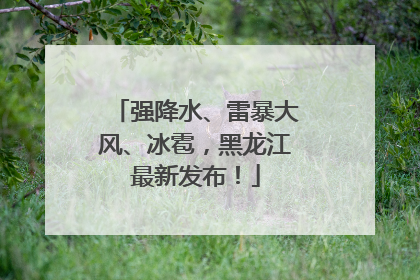 强降水、雷暴大风、冰雹，黑龙江最新发布！