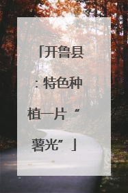 开鲁县：特色种植一片“薯光”
