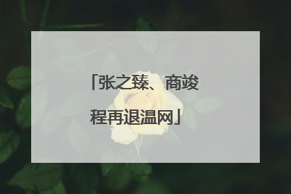 张之臻、商竣程再退温网
