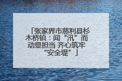 张家界市慈利县杉木桥镇：闻“汛”而动显担当 齐心筑牢“安全堤”