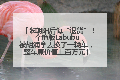 张朝阳后悔“退货”！一个绝版Labubu，被胡润拿去换了一辆车，整车原价值上百万元