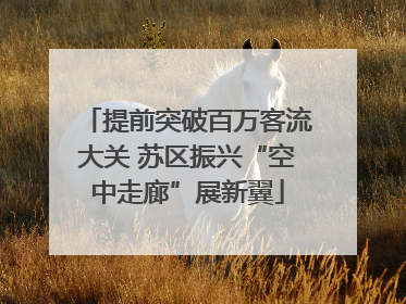 提前突破百万客流大关 苏区振兴“空中走廊”展新翼