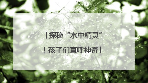 探秘“水中精灵”！孩子们直呼神奇
