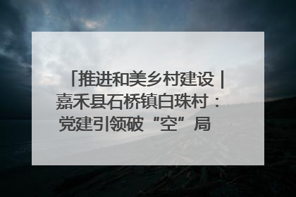 推进和美乡村建设｜嘉禾县石桥镇白珠村：党建引领破“空”局 乡贤聚力绘就新图景