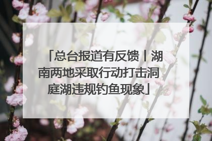 总台报道有反馈丨湖南两地采取行动打击洞庭湖违规钓鱼现象