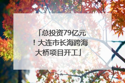 总投资79亿元！大连市长海跨海大桥项目开工