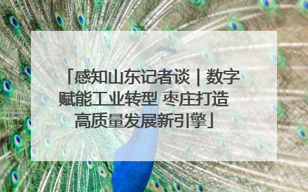 感知山东记者谈｜数字赋能工业转型 枣庄打造高质量发展新引擎