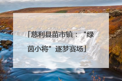 慈利县苗市镇：“绿茵小将”逐梦赛场