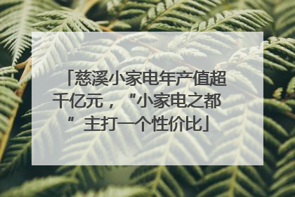 慈溪小家电年产值超千亿元，“小家电之都”主打一个性价比