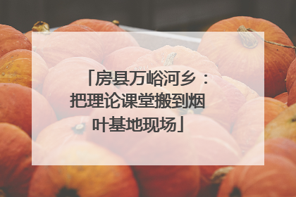 房县万峪河乡：把理论课堂搬到烟叶基地现场