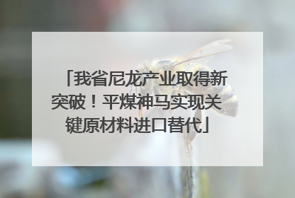我省尼龙产业取得新突破！平煤神马实现关键原材料进口替代