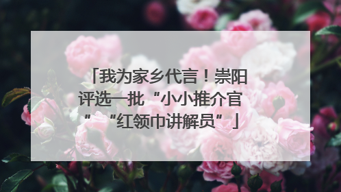 我为家乡代言！崇阳评选一批“小小推介官”“红领巾讲解员”
