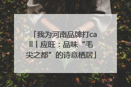 我为河南品牌打call丨应旺：品味“毛尖之都”的诗意栖居