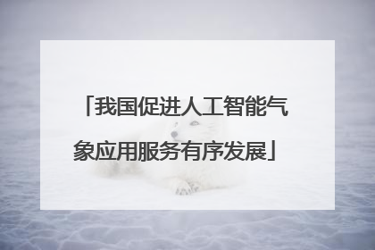 我国促进人工智能气象应用服务有序发展