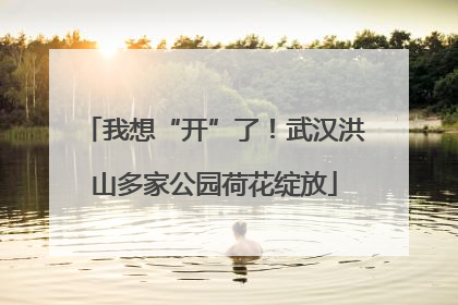 我想“开”了！武汉洪山多家公园荷花绽放