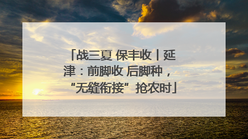 战三夏 保丰收丨延津：前脚收 后脚种，“无缝衔接”抢农时