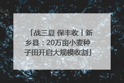 战三夏 保丰收丨新乡县：20万亩小麦种子田开启大规模收割