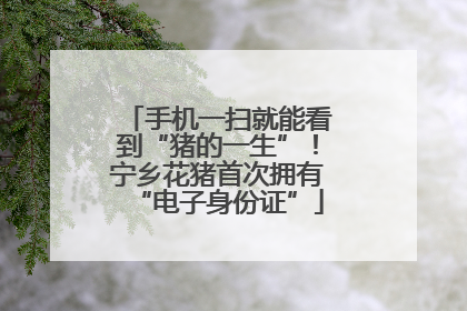 手机一扫就能看到“猪的一生”！宁乡花猪首次拥有“电子身份证”