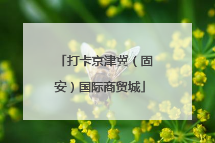 打卡京津冀（固安）国际商贸城