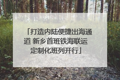 打造内陆便捷出海通道 新乡首班铁海联运定制化班列开行