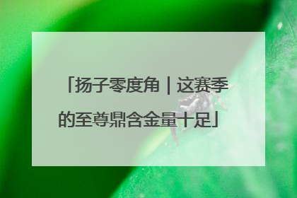 扬子零度角｜这赛季的至尊鼎含金量十足