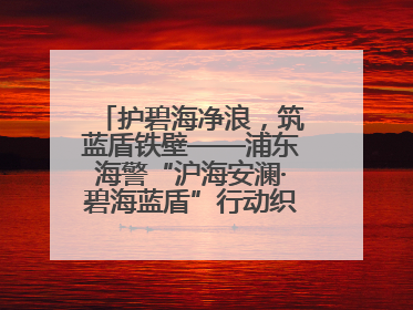 护碧海净浪，筑蓝盾铁壁——浦东海警“沪海安澜·碧海蓝盾”行动织密立体防控网