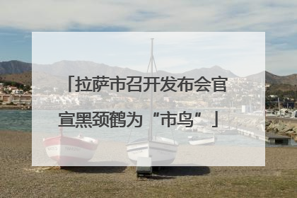 拉萨市召开发布会官宣黑颈鹤为“市鸟”