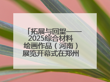 拓展与回望——2025综合材料绘画作品（河南）展览开幕式在郑州美术馆举办