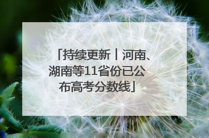 持续更新︱河南、湖南等11省份已公布高考分数线