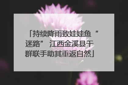 持续降雨致娃娃鱼“迷路” 江西金溪县干群联手助其重返自然