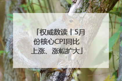 权威数读丨5月份核心CPI同比上涨、涨幅扩大