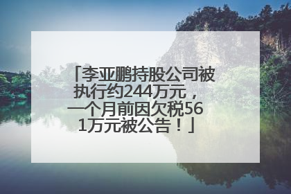 李亚鹏持股公司被执行约244万元，一个月前因欠税561万元被公告！