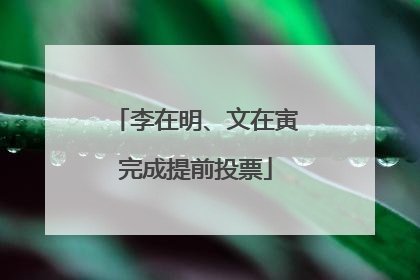 李在明、文在寅完成提前投票