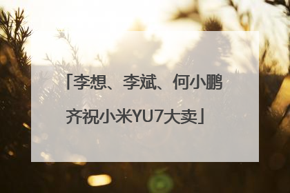 李想、李斌、何小鹏齐祝小米YU7大卖