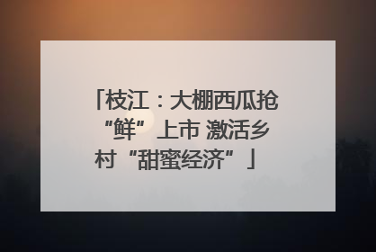枝江：大棚西瓜抢“鲜”上市 激活乡村“甜蜜经济”