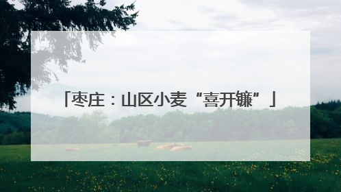 枣庄：山区小麦“喜开镰”