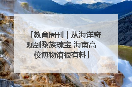 教育周刊｜从海洋奇观到黎族瑰宝 海南高校博物馆很有料