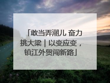 敢当弄潮儿 奋力挑大梁｜以变应变，镇江外贸闯新路