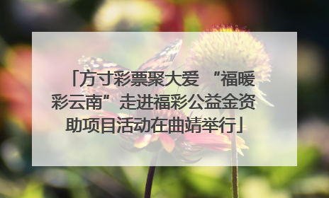 方寸彩票聚大爱 “福暖彩云南”走进福彩公益金资助项目活动在曲靖举行