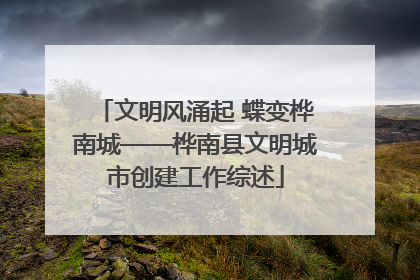 文明风涌起 蝶变桦南城——桦南县文明城市创建工作综述